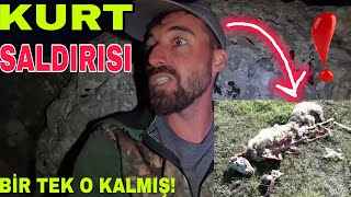 KURT SALDIRISI!!! BİR TEK ÇANI KALMIŞ~PRENSES BUNDAN SONRA TAM VARDİA