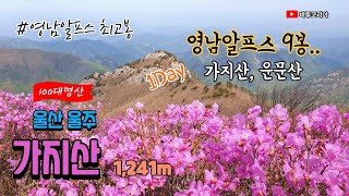 100대 명산, 영남알프스 최고봉, 가지산 |가지산, 운문산 연계 산행 | (구)제일농원 코스 | 영남알프스 9봉