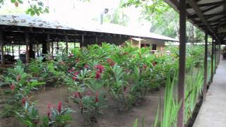 Manatus Hotel - Hotels in the Tortuguero area of Costa Rica