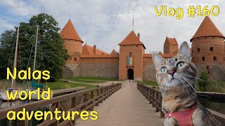 Nala cat explores Trakai castle  Vlog #160