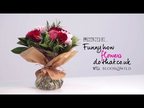 DIY Flower Bouquet DIY Flower Bouquet
