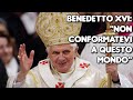 Papa Benedetto XVI: 