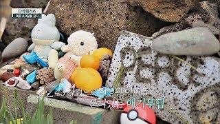 제주 4.3을 세상에 처음 알린 문학작품 ＜순이 삼촌＞ 다큐 플러스-제주 4.3길을 걷다