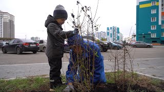 Жители Спутника помогают благоустраивать микрорайон