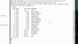 Linux STM322G Shell, Networking, and JFFS2