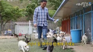 [동물티비 유투브온리] 안락사 되기 직전의 유기견들을 데려가는 한 남자?! 류수영의 동물티비｜EP5