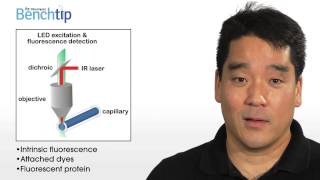 Bench Tip Video: Measuring Interactions Using Microscale Thermophoresis