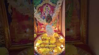 Kandha sashti day -2#🦚 சஷ்டி விரதம் இரண்டாம் நாள் மாலை நேர வழிபாடு