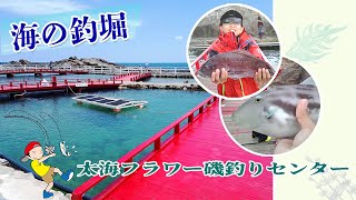 太海フラワー磯釣りセンター★釣り堀情報