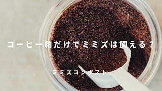 【ミミズコンポスト】ほぼコーヒー粕だけで釣り餌用ミミズは飼育できるのか? #008