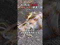 6 24 土 南大阪朝まづめの状況 岬公園 深日港 大阪湾 釣り のませ釣り エギング ヤエン アオリイカ