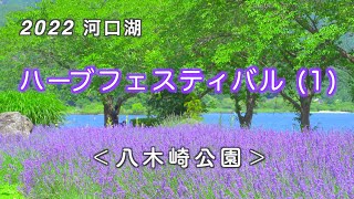 2022 Lake Kawaguchiko Herb Festival (Yagisaki Park) / Japan