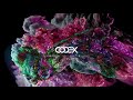 Dok & Martin - Doorbell (Superstrobe Remix)