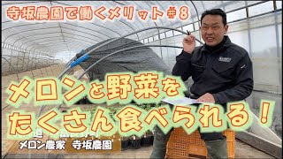 メロン・野菜をたくさん食べられる！寺坂農園で働くメリット＃8：北海道 富良野 メロン農家　求人 パート アルバイト スタッフ 求人 募集 短期 寮 短期 住み込み ok