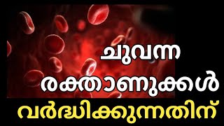 ചുവന്ന രക്താണുക്കൾ വർദ്ധിക്കുന്നതിന് | To increase RBC