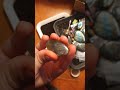 amazing labradorite collection pt 1