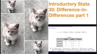 Introductory Stata 30: Difference-in-Differences part 1