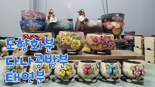 4월4일 토끼네화분  # 도향화분  마리공방분  다나공방분 5만이상 택비무료