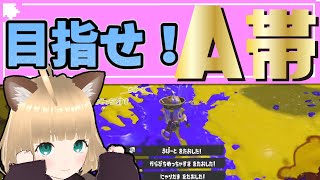 【昇格戦】スプラ初心者🔰ついにA帯へ昇格なるか！？【スプラトゥーン3】【初心者卒業の旅】【カップルVtuber】