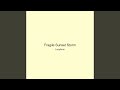 Fragile Sunset Storm