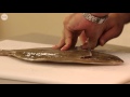 Ever wonder how to fillet a flounder?