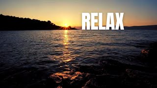 ☘️ Relaxing Video of a Tropical Beach with Sunset Palm Tree