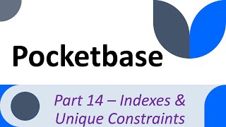 Understanding how to use Pocketbase - Part 14 - Unique \u0026 Indexes Constraints