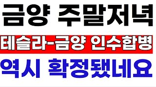 금양 🔴MBC 저녁속보! 테슬라 \