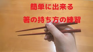 箸を持つ練習　子供への教え方【誰でも簡単に出来る】