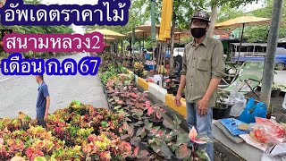 อัพเดตราคาไม้ตลาดสนามหลวง2เดือน ก.ค 67