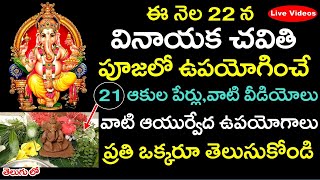 ఈనెల 22న వినాయక చవితి పూజలో వాడే 21 ఆకుల పేర్లు,వాటి వీడియోలు,వాటి ఆయుర్వేద ఉపయోగాలు తెలుసుకోండి