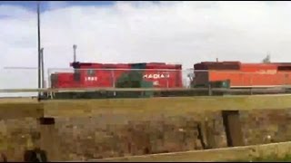 CP Train Spotting: Rare Barn Unit | CP 9009 \u0026 1563 At South Edmonton AB