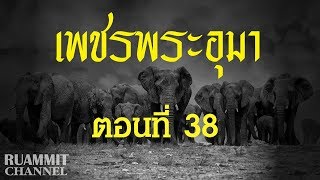 เพชรพระอุมา ตอนที่ 38  [ดงมรณะ]