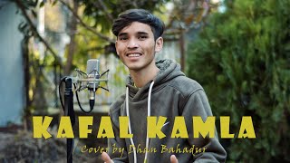 KAFAL/KAMLA | COVER | DHAN BAHADUR |