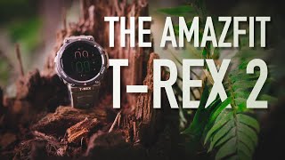 Swimming, Biking and Running With The Amazfit T-Rex 2