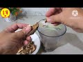 how to make vegetarian shiitake mushroom seasoning powder easy to make yourself