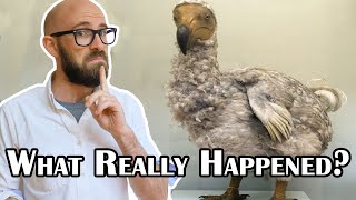 What Really Caused the Dodo to Go the Way of the Dodo? (Karl Smallwood's first TIFO article :-))