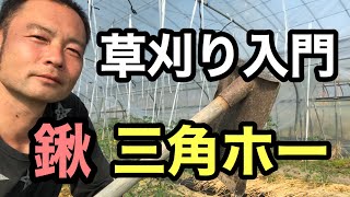 【草刈り】三角ホー、鍬を使った草の刈り方