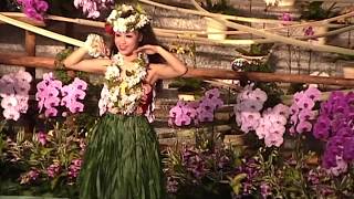 '08 オーキッドフラショー3-1 ハワイアンホスピタリティ Hawaiian hospitality 小林苑未さん オーリノ苑未さん フラガール フラ フラダンス ハワイアンズ らん展