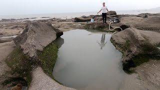 礁石区浑坑海货乱蹿，小林抽干后发现神秘金疙瘩，不是一般的大