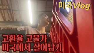 미국Vlog / 내려가는건 내 눈물뿐인가 💦