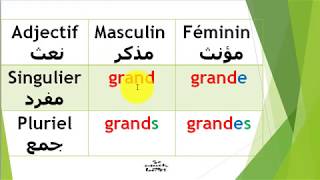 orthographe 10 : l'accord de l'adjectif qualificatif   تبعية النعت للمنعوت