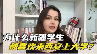 为什么新疆的学生都喜欢来西安上大学？