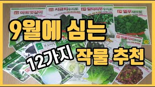 [텃밭작물추천] 9월에 심는 작물을 추천드립니다