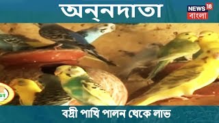 অন্নদাতা | বদ্রী পাখি পালনের খুঁটিনাটি