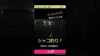 暴走族の集会を聞きながらシャコ釣り！ 根掛かりすぎて赤字。笑#ちゃんまん #北海道 #釣り #シャコ