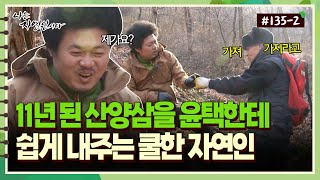 [자연인] 135-2 11년 된 산양삼을 윤택에게 쉽게 내주는 쿨한 자연인