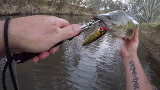 Is this the cheapest or best value Murray cod surface lure?