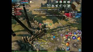 Regalo　vs　LOSER様②（防衛目線）　リネレボ要塞大戦　ランダムマッチ10人　2019.11.13