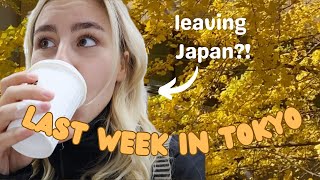 Tokyo vlog: I tried a 9-course meal by a Japanese chef